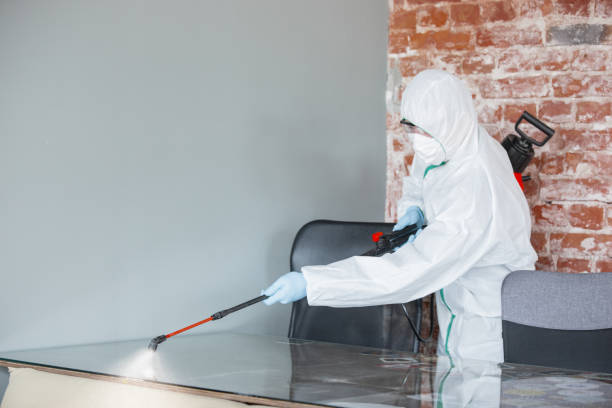 Best Water Damage & Mold Remediation  in Brooklyn Park, MD